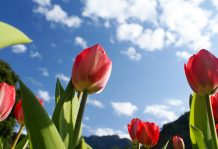 手機(jī)攝影大賽