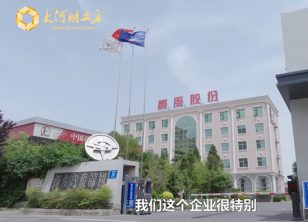 【大河財立方】綠色智造新質未來-新鄉振動向新力